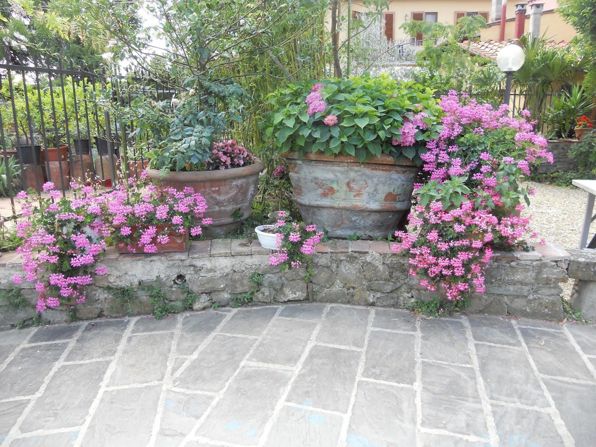 Agriturismo Le Macine Florence Ngoại thất bức ảnh