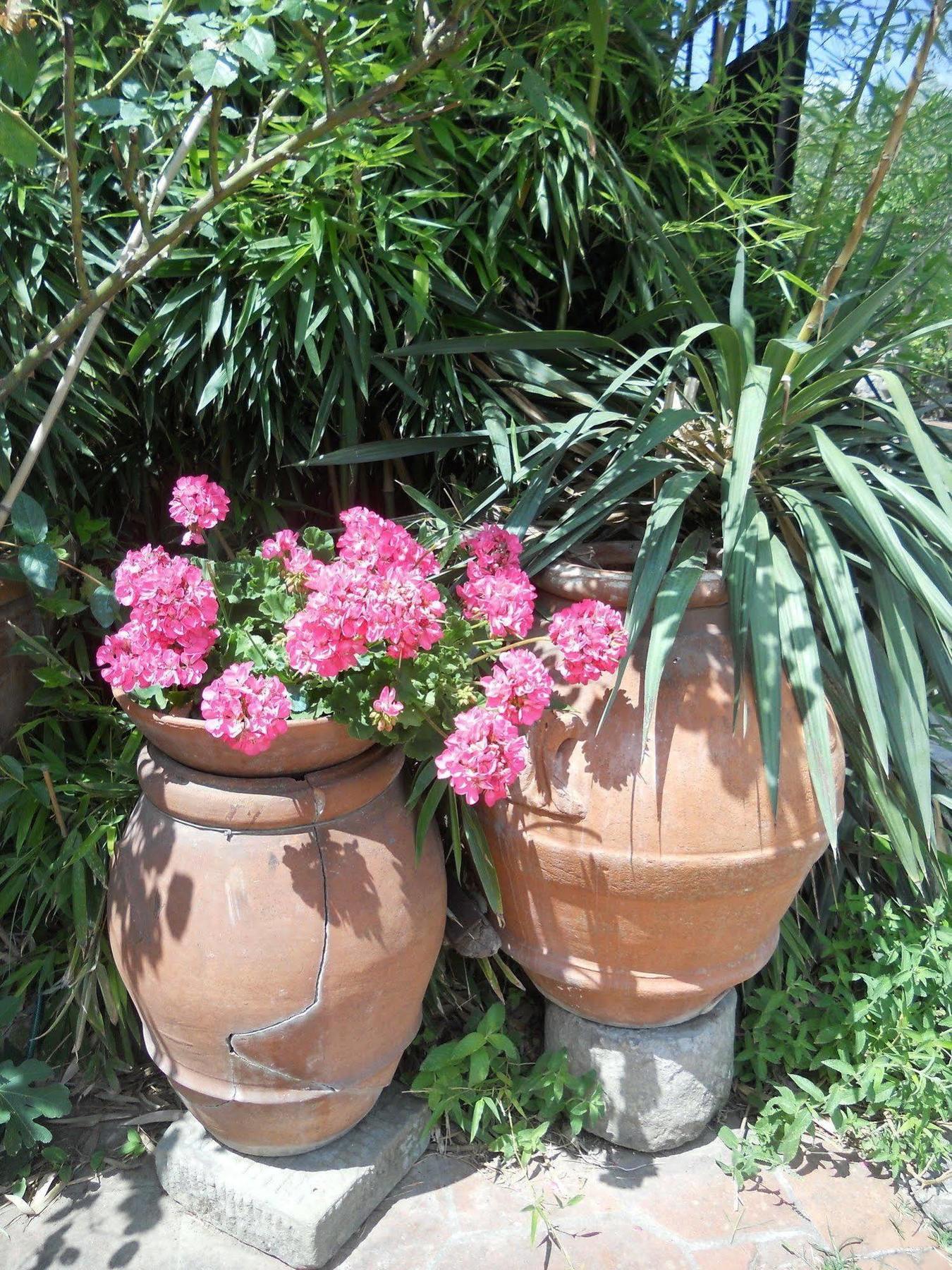 Agriturismo Le Macine Florence Ngoại thất bức ảnh
