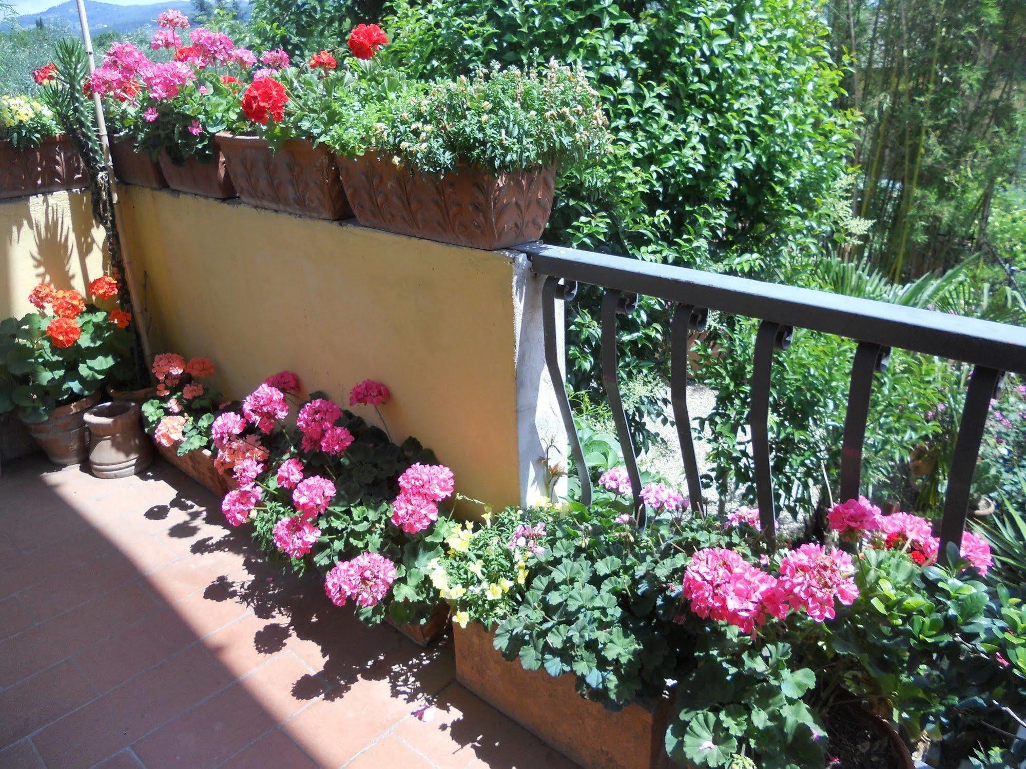 Agriturismo Le Macine Florence Ngoại thất bức ảnh